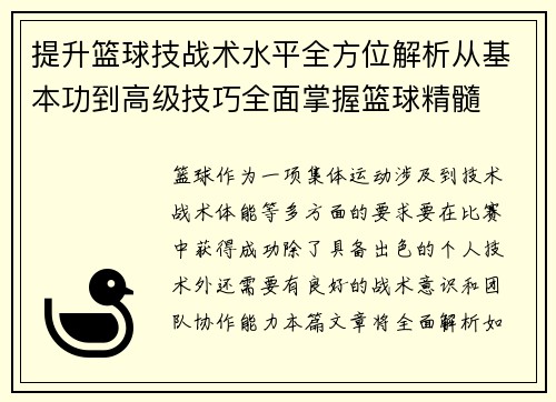 提升篮球技战术水平全方位解析从基本功到高级技巧全面掌握篮球精髓