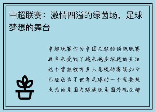 中超联赛：激情四溢的绿茵场，足球梦想的舞台